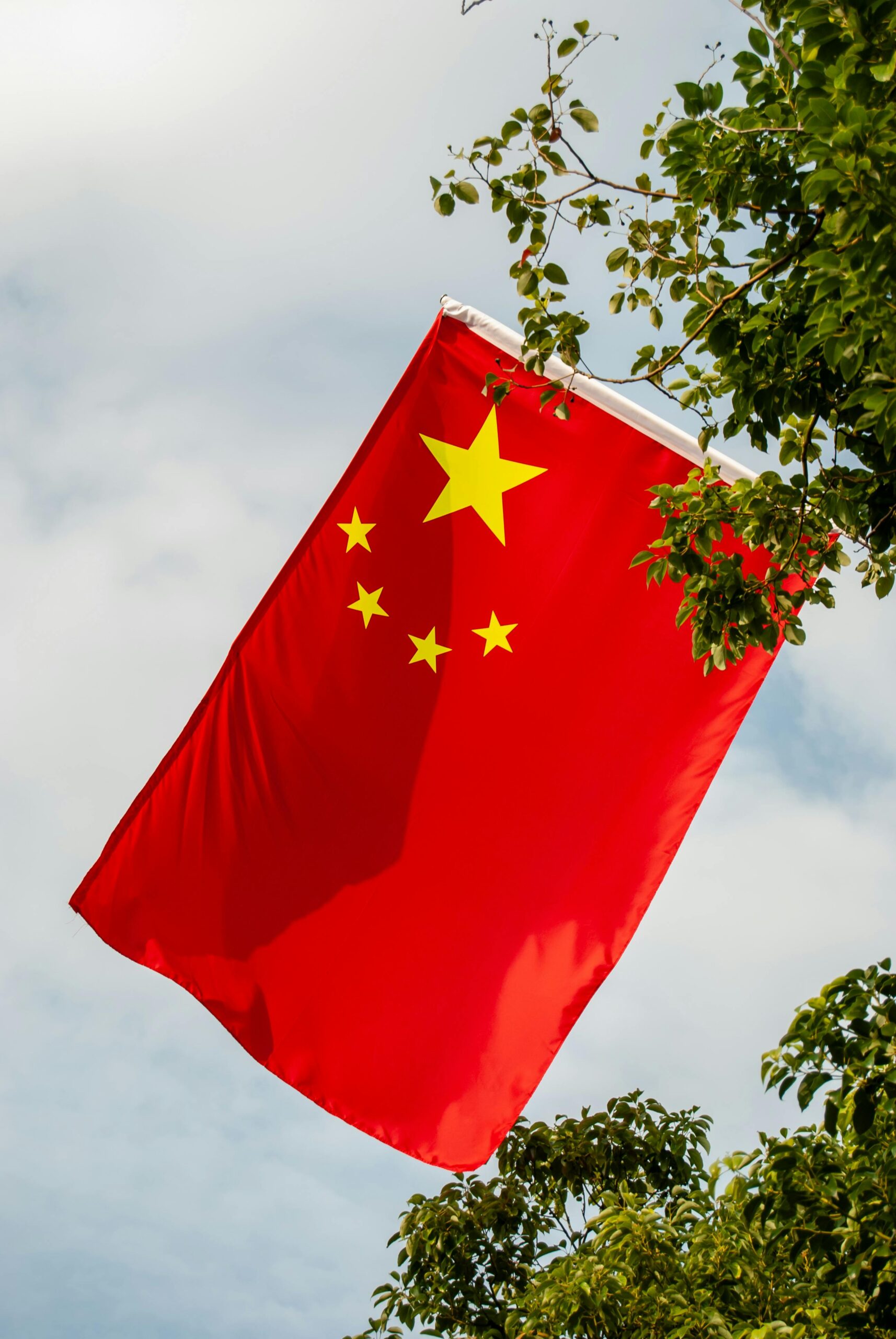 Chinese flag waving against a backdrop of trees and sky in Shenzhen, China.